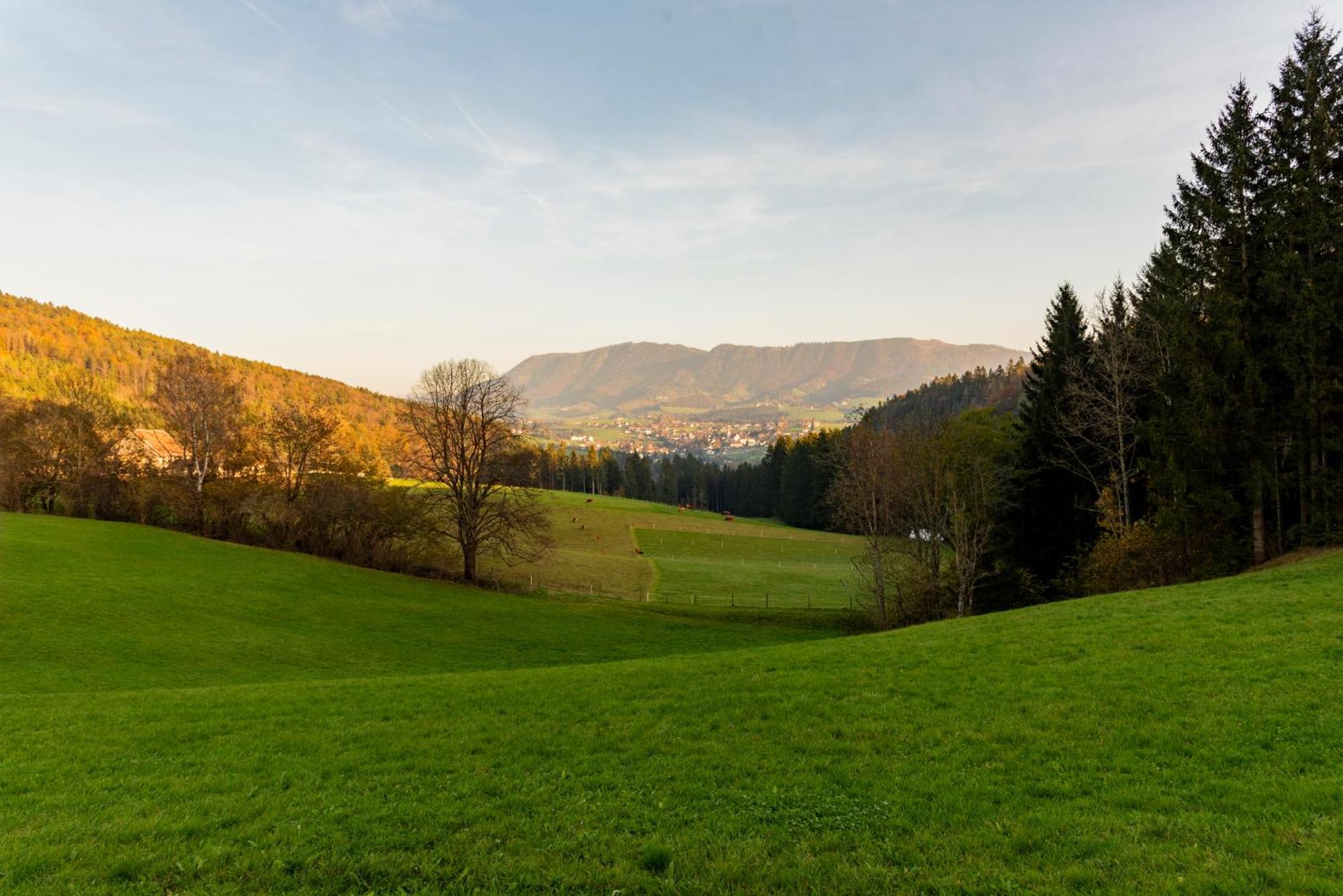 Ferienwohnung Am Labyrinth Semriach Exteriör bild